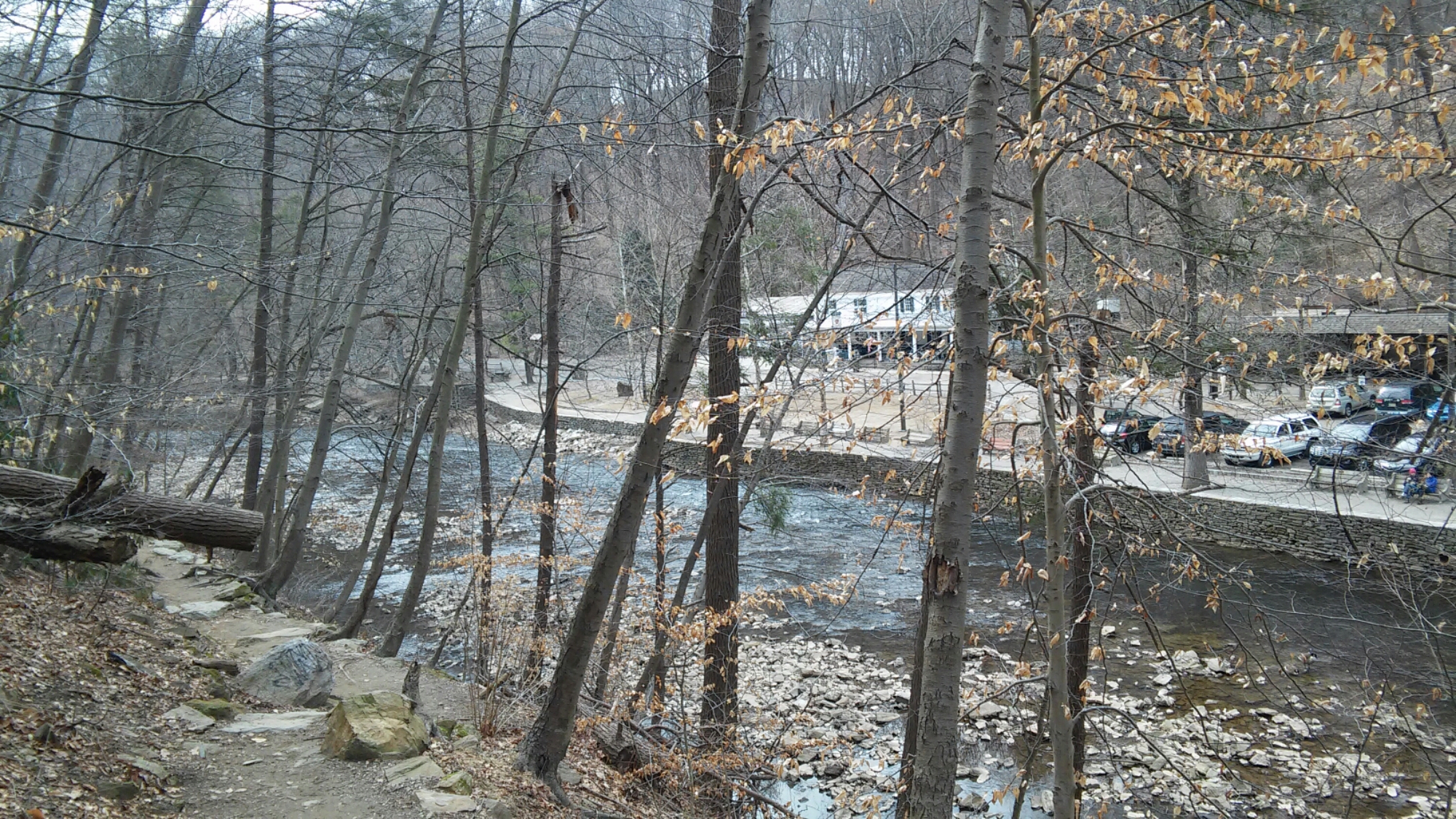 wp-1457299124525.jpeg