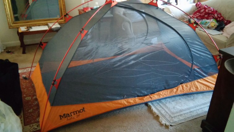 wp-1458601397804 image