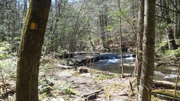 wp-1461798717905 image