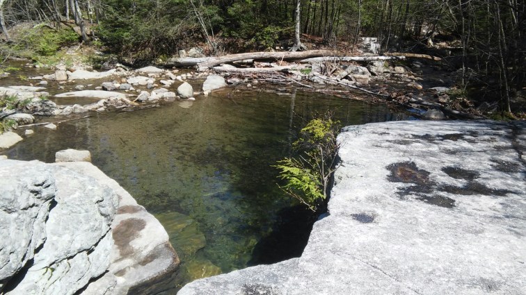 wp-1461799508321 image