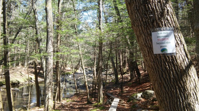 wp-1461799678501 image