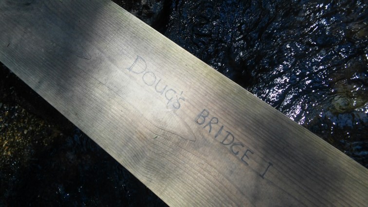 wp-1461799896827 image