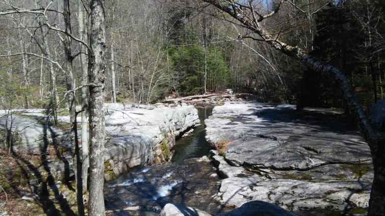 wp-1461800293724 image